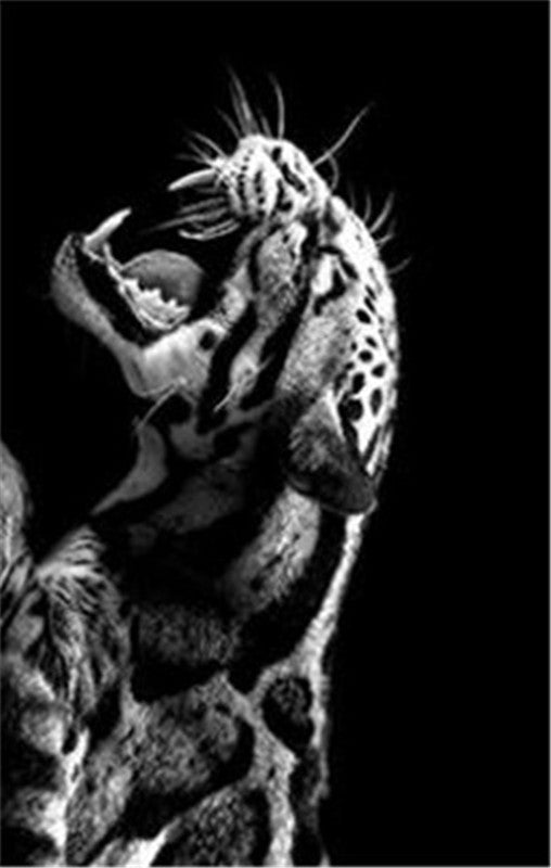 Primitive Instinct