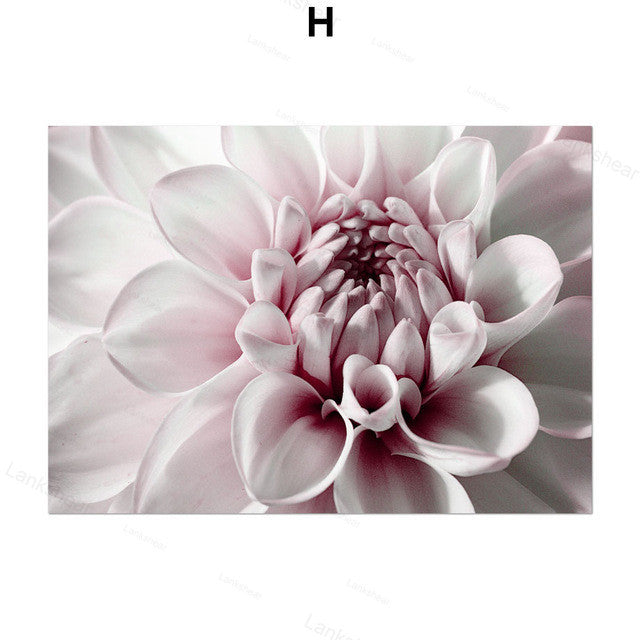 Decadent Flowers
