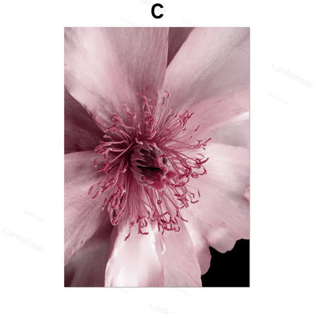 Decadent Flowers