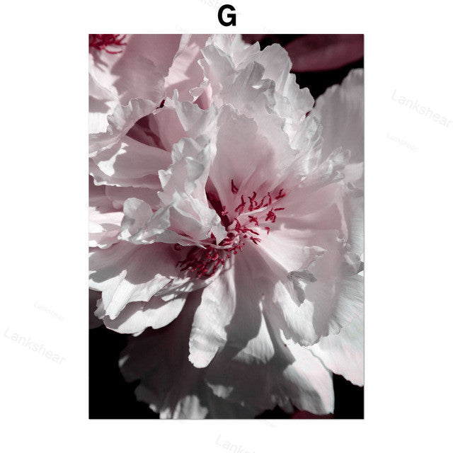 Decadent Flowers