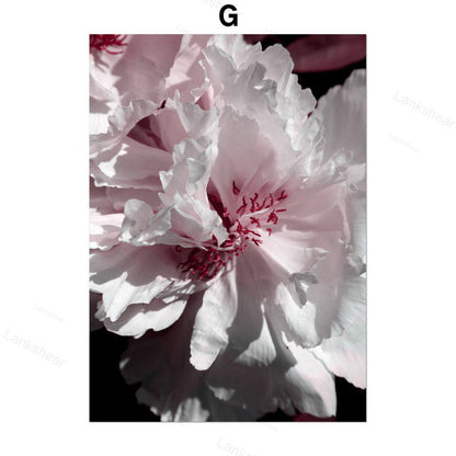 Decadent Flowers