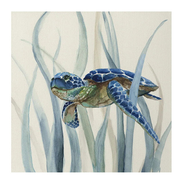 Serene Sea Turtle