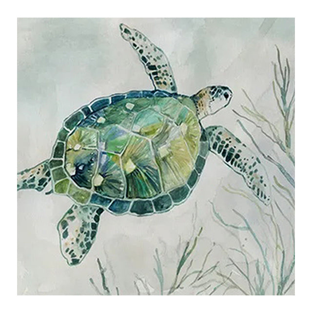 Serene Sea Turtle