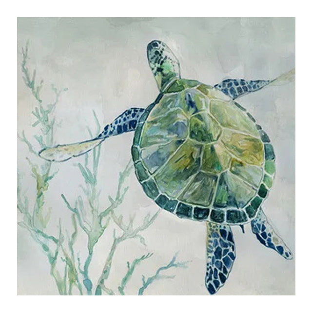 Serene Sea Turtle